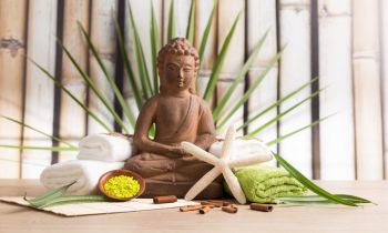  I principi dell' antica medicina Ayurvedica